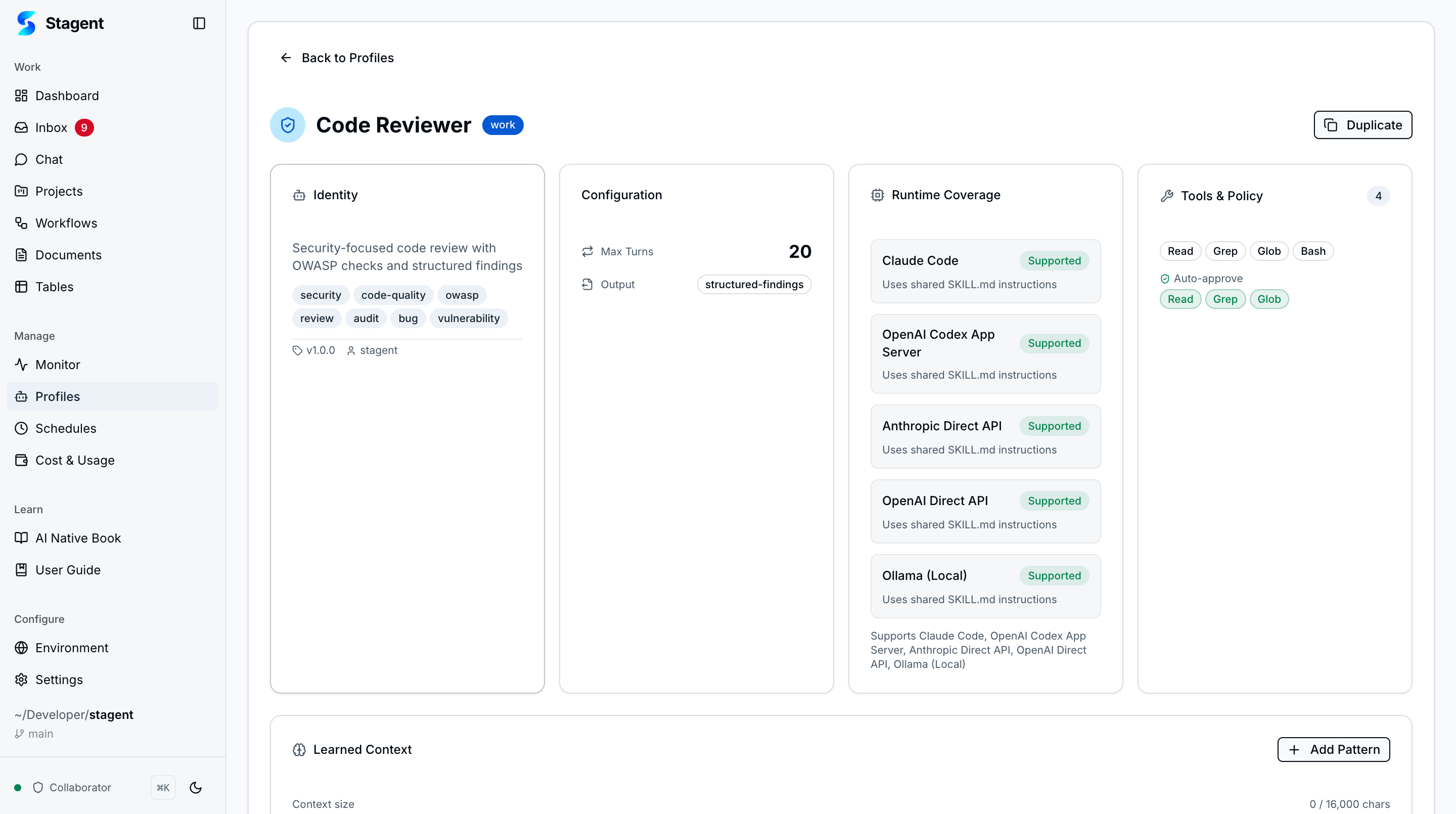 Code Reviewer profile detail with identity, configuration, runtime coverage, tools and policy